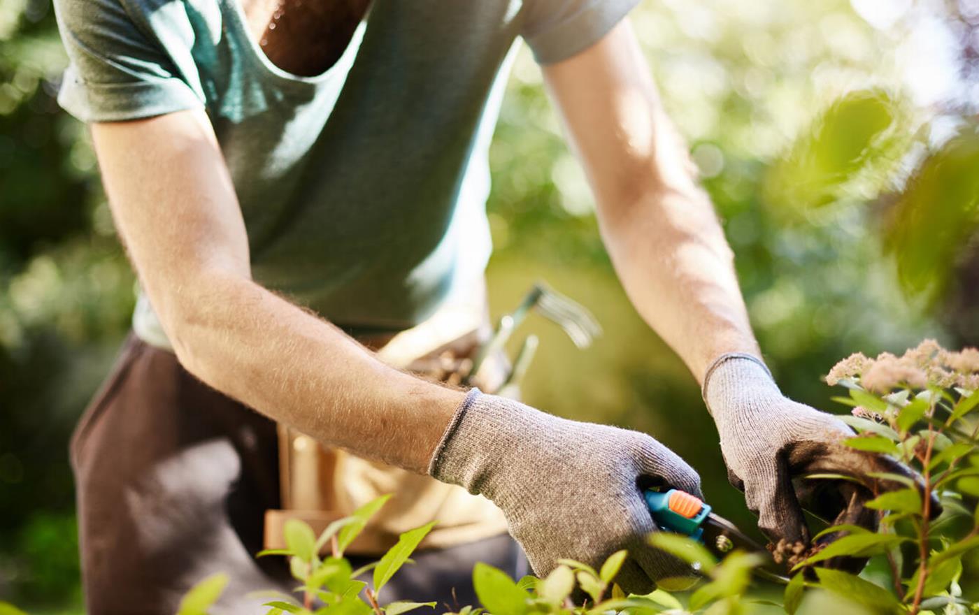 Assemblin_vattenutkastare_2500x1406px_shutterstock_1007119828_Medium (1).jpeg